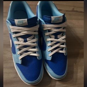 nike dunks. color is blue. size 13 men’s
